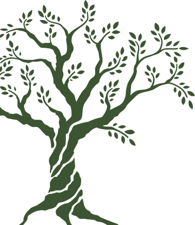 oliveira